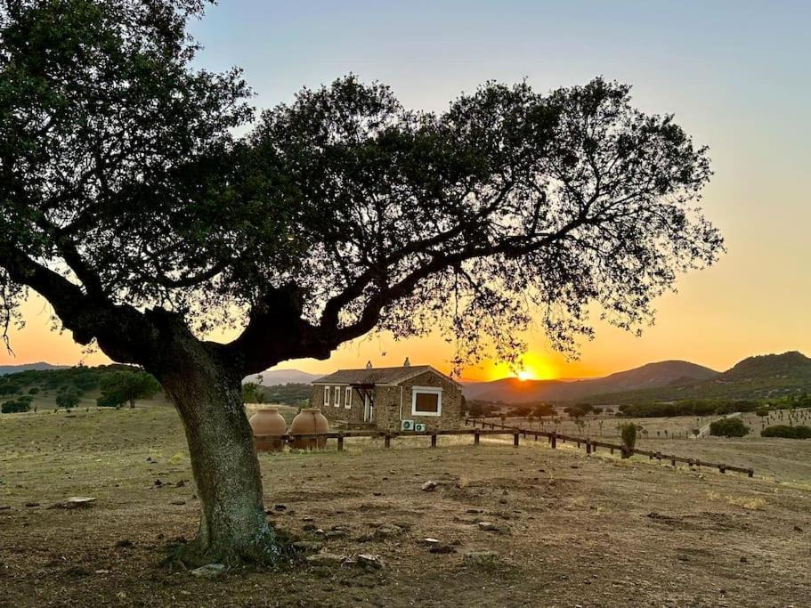 Finca La Alcolehuela En Parque Natural De Despenaperros Santa Elena Bagian luar foto