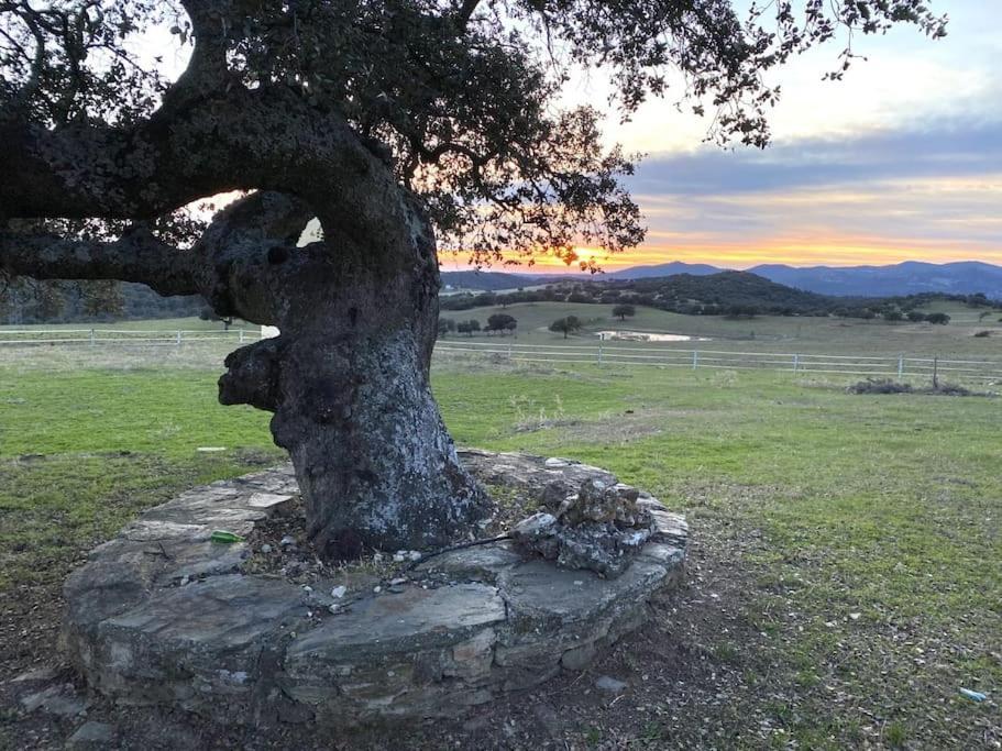 Finca La Alcolehuela En Parque Natural De Despenaperros Santa Elena Bagian luar foto